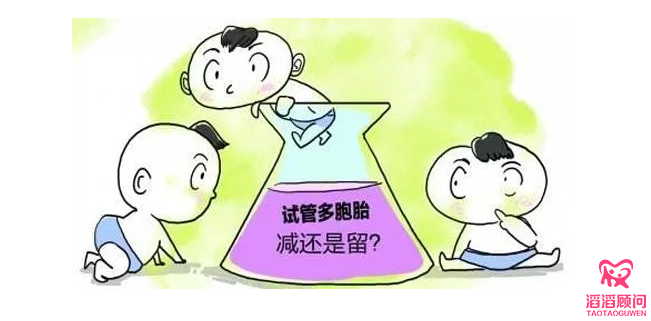 胚胎越多越好？關于減胎的那些事兒胚胎越多越好？關于減胎的那些事兒