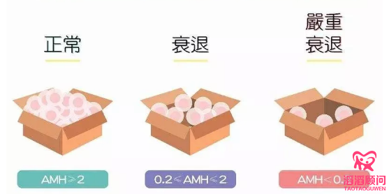 AMH是個(gè)啥？為什么人人都要查？