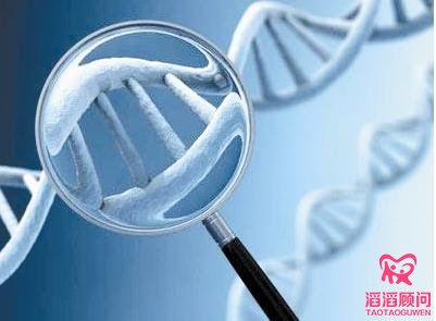 卵巢囊腫會(huì)影響試管嬰兒成功率嗎？