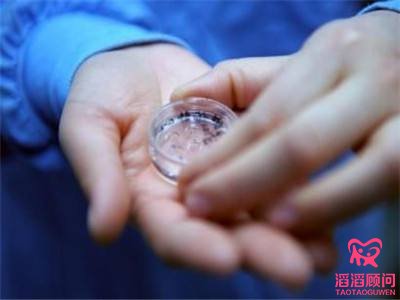 試管嬰兒滿足哪些條件容易成功？