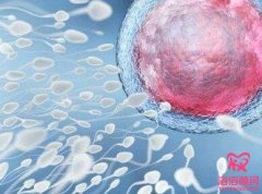 試管嬰兒取卵后出現(xiàn)腹水是什么原因？