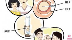 試管嬰兒囊胚移植過程怎么樣？