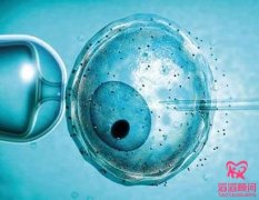 俄羅斯第三代試管嬰兒費用多少？
