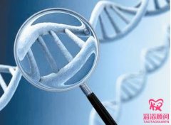 俄羅斯試管嬰兒移植后會有什么感覺？