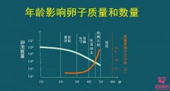試管嬰兒前卵巢評估有什么用？