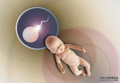 精液檢查無(wú)精子還能做俄羅斯試管嬰兒?jiǎn)?