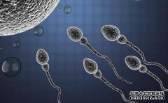 爸爸節(jié)特輯：爸爸媽媽誰的基因更加強大?