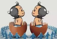 武漢誠(chéng)信代孕機(jī)構(gòu)