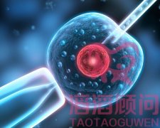 試管嬰兒取卵后黃體酮作用