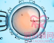 試管嬰兒取卵后飲食注意事項(xiàng)