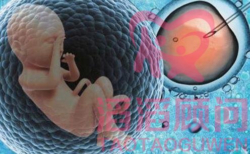 什么樣的病不適合做試管嬰兒?