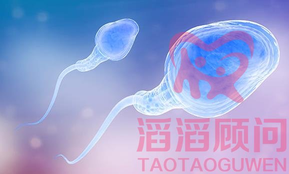 精子質(zhì)量差試管嬰兒?jiǎn)?