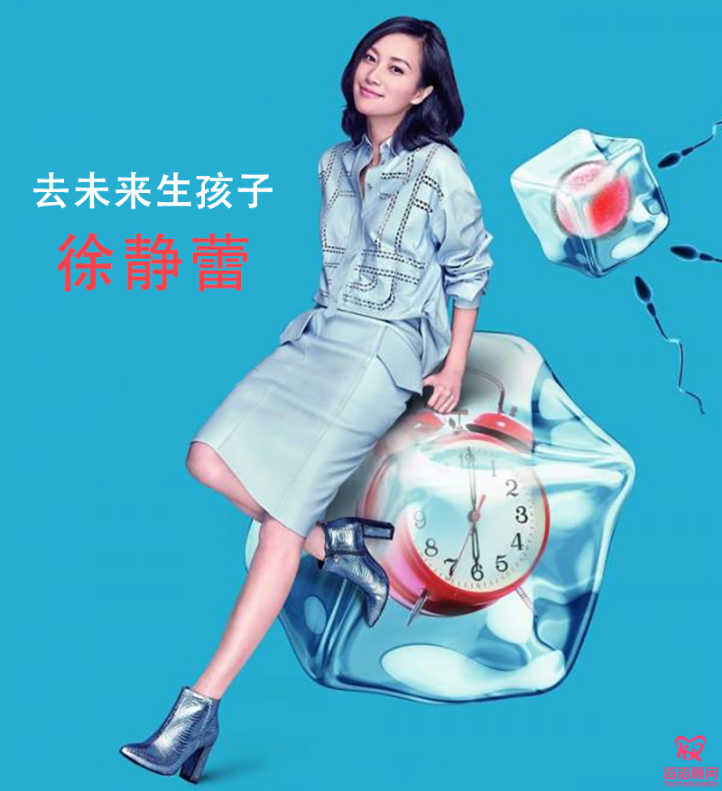 徐靜蕾卵子冷凍