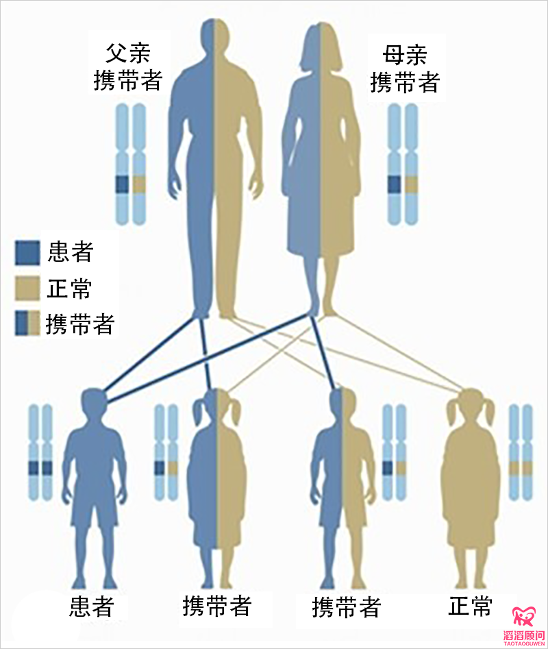 隱性遺傳病