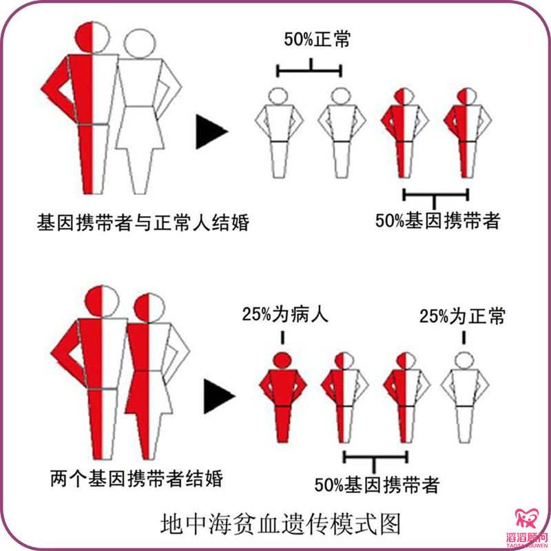 地中海貧血隱性基因