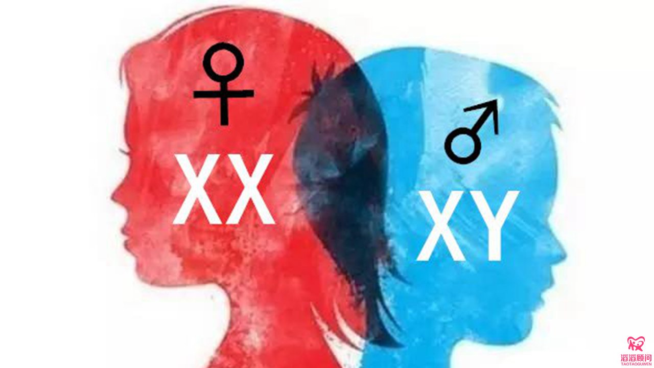 夢見蛇生男孩，夢見蜘蛛生女孩，真的嗎？