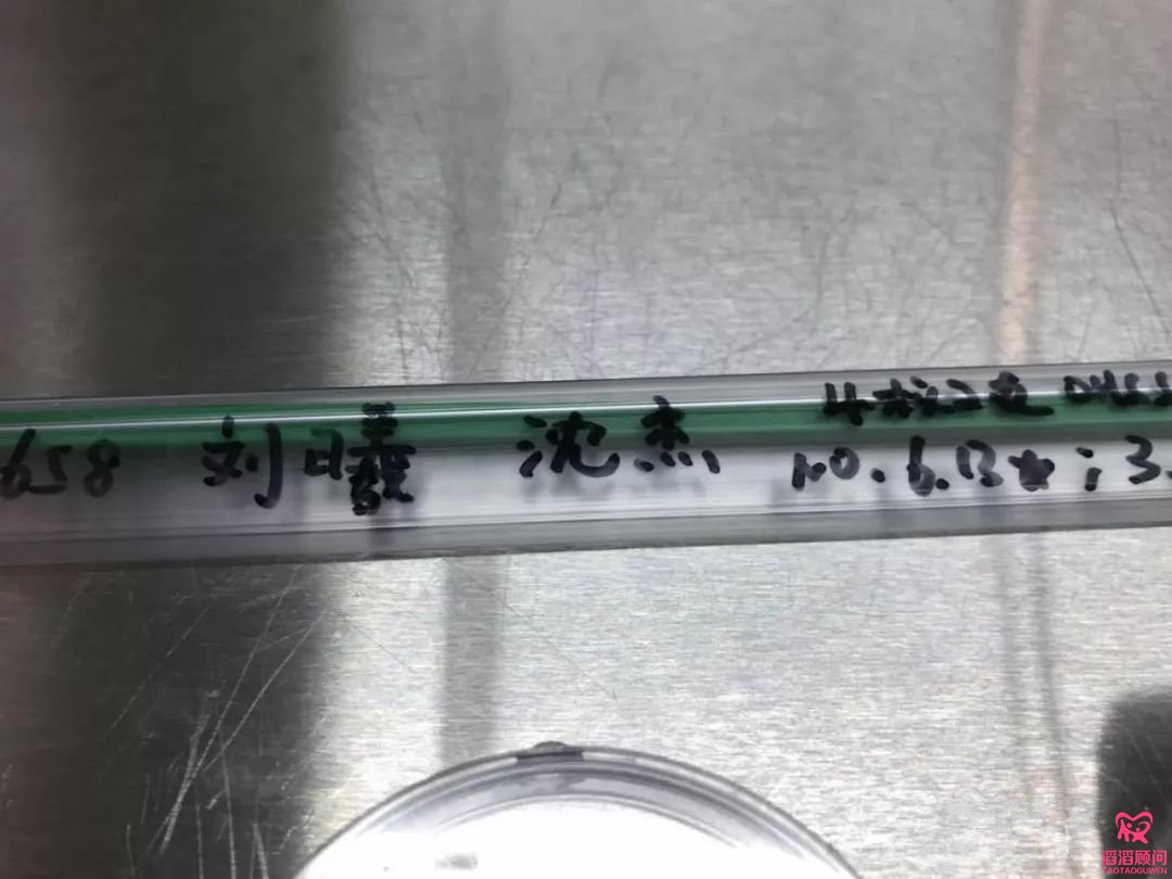 夫妻車禍去世，冷凍胚胎成失獨老人的**后希望！