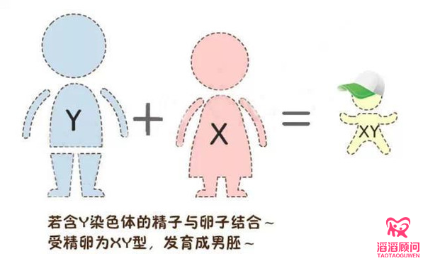 要個(gè)女兒有多難？這對(duì)美國(guó)夫婦連生了14個(gè)兒子！