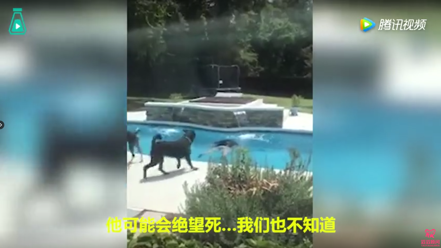 連生了五個小公主，這位爸爸崩潰了…