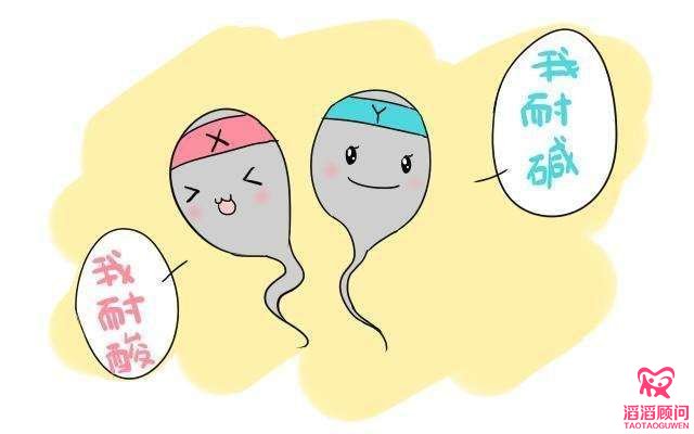 吃“堿孕寶”生男孩？這個生男孩的坑別再跳了！