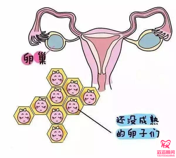 為試管助孕加點(diǎn)“油”，從保養(yǎng)卵子開(kāi)始