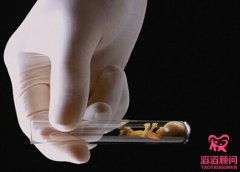 俄羅斯做完試管嬰兒著床的感覺