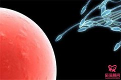 俄羅斯做試管嬰兒成功率有多少，與哪些因素有關(guān)？