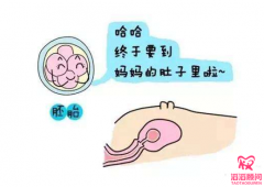 做試管嬰兒容易著床嗎？胚胎著床需要哪些條件？