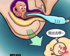 試管嬰兒取卵后要注意什么多方面調(diào)理有助于移植成功