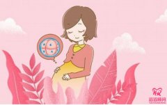 試管嬰兒胚胎移植數(shù)量越多越好嗎？成功率越高嗎？