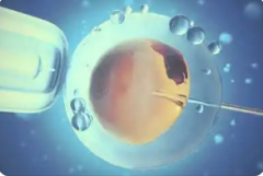 第三代試管嬰兒成功率有多大？