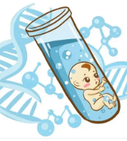 第三代試管嬰兒