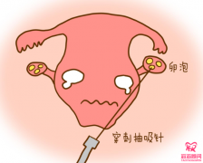 做試管嬰兒對女人的危害有哪些？