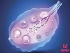 AMH卵巢功能低必須做試管嬰兒?jiǎn)幔?></a>
                                </div>
                                <div   id=
