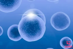男性精子質(zhì)量低、畸形率高，可以做第三代試管嬰兒嗎？