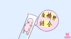 吉爾吉斯斯坦的國外輔助生殖貴嗎？費(fèi)用解析及實(shí)用建議
